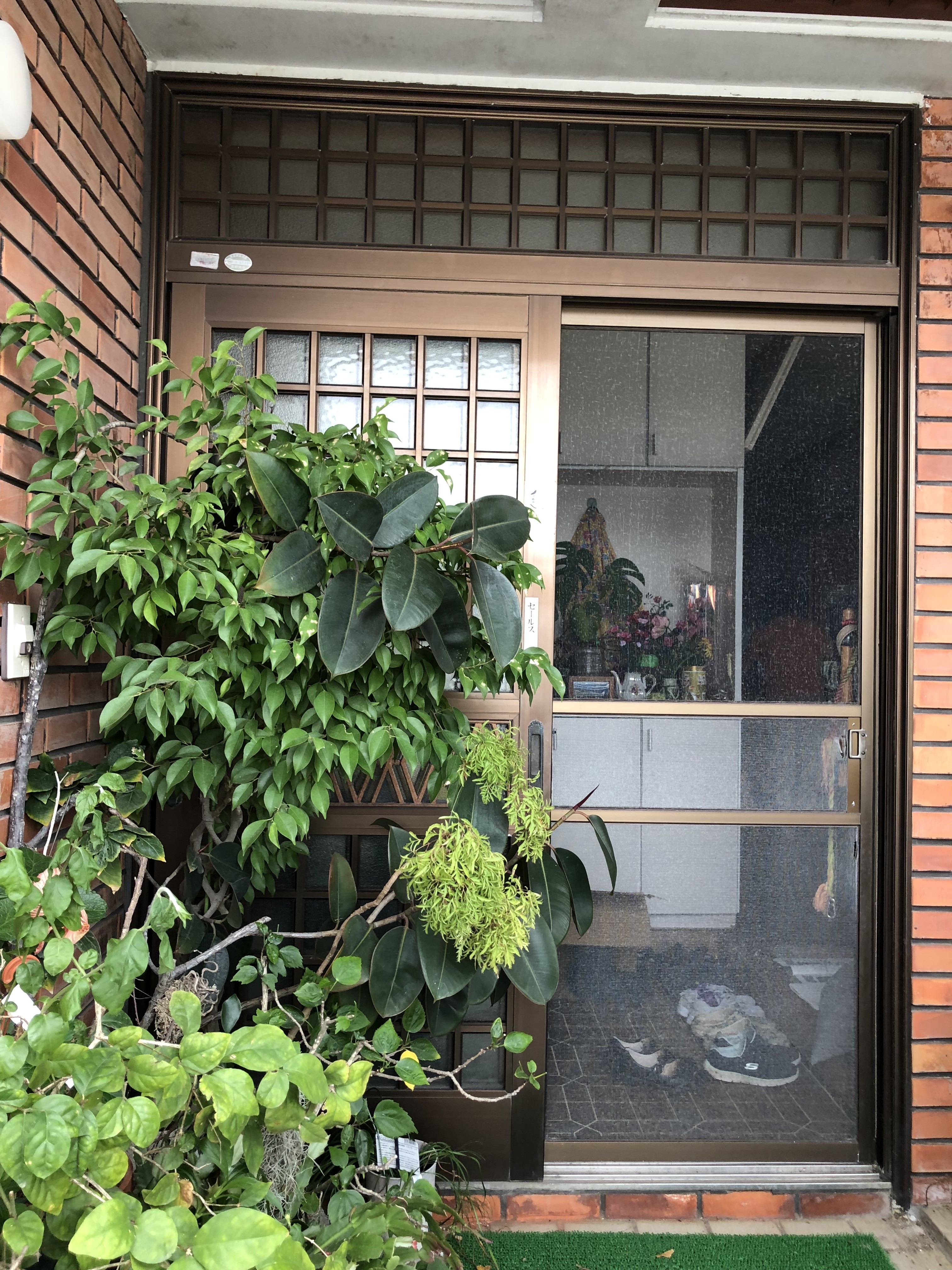 玄関ドア取替 事例3 Before